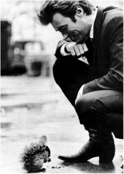 clint eastwood ardilla 